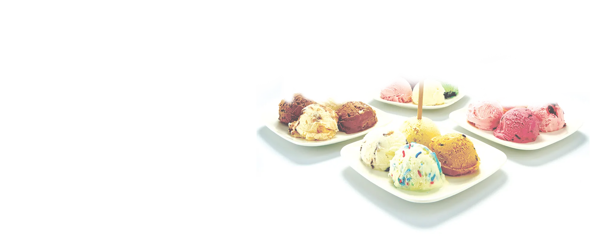 shadow for bowls in main promo image